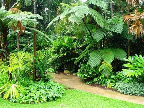 jardin tropical | Jardines tropicales, Diseño de jardines tropicales