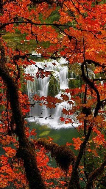 Autumn Colours And Waterfall Beautiful Beautiful Nature Beautiful