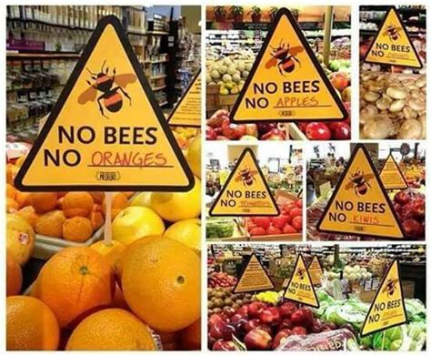 Our World Without Bees Save The Bees Save Our Earth Bee