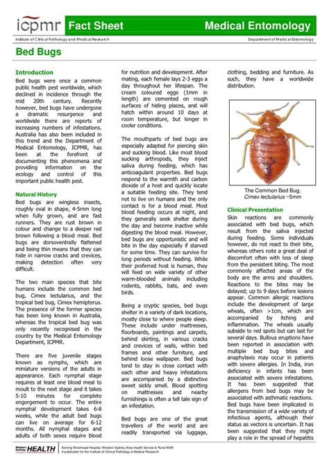 Printable Insect Fact Sheets Printable Word Searches