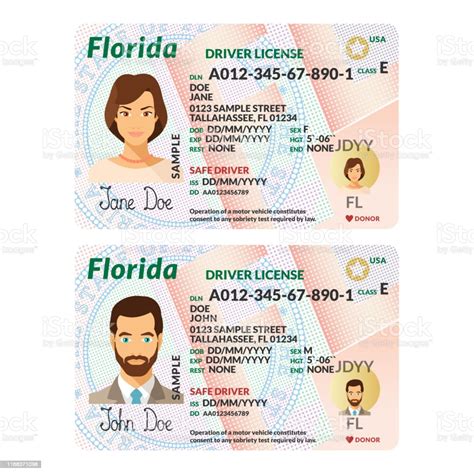 Vector Template Of Sample Driver License Plastic Card For Usa Florida
