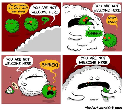 White Blood Cells To The Rescue Immunology Via The Awkward Yeti