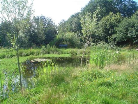 Natuurvijver The Pond Library