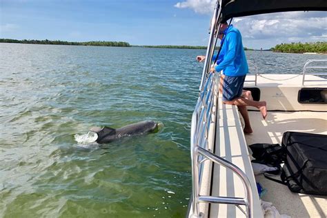 Ten Thousand Islands Boat Tour Up To 12 People 2022 Naples