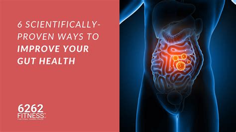 6 Scientifically Proven Ways To Improve Your Gut Health 6262 Fitness