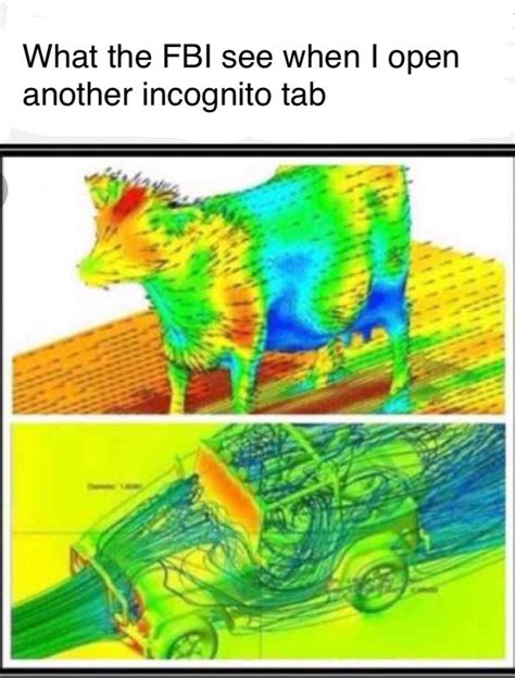 Cow Aerodynamics Memes