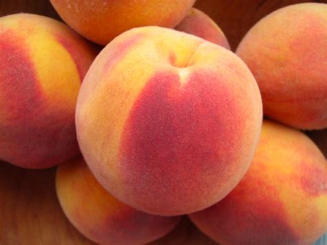 Harter House World Flavors Fresh Peach Crisp