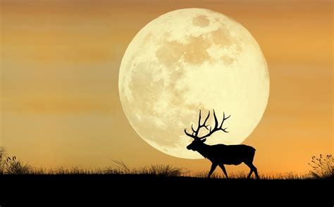 Rare Hunters Supermoon In Aries Will Light Up The Sky This Weekend