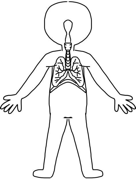 Human Body Parts Clipart Black And White Free Pictures Of The Body