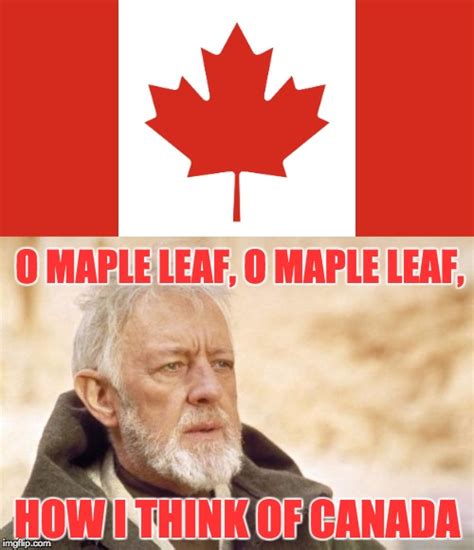 What do the toronto maple leafs and the titanic have in common? maple leafs Memes & GIFs - Imgflip