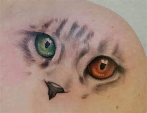 24 Best Cat Eye Tattoo Designs The Paws