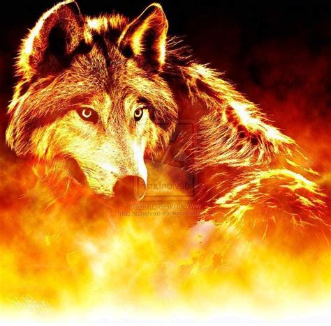 Cool Fire Wolf Wallpapers Ntbeamng