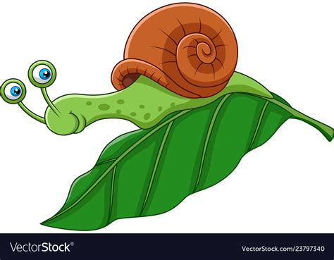 Cartoon Funny Snail On A Leaf Royalty Free Vector Image
