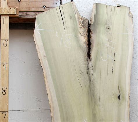 Tulip Poplar Natural Live Edge Wood Slab Tabletop Wide Board Etsy