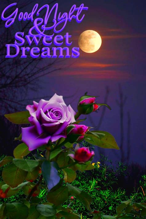 A Purple Rose With The Words Good Night And Sweet Dreams