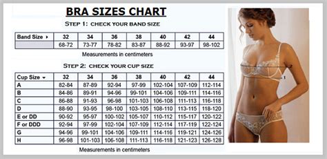 Bra Sizes Bra Chart Charts