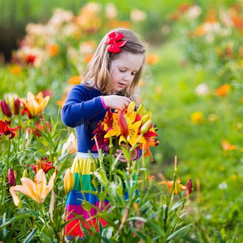 Little Cute Girl Picking Flowers Summer Park Stock Photos Download