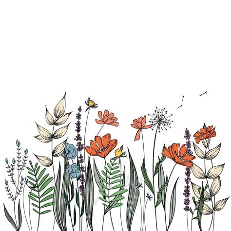 Wildflowers Line Drawing Wall Decor Botanical Illustration