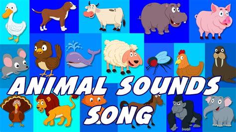 Animal Sounds Song Sounds That Animals Make Nursery Rhymes Youtube