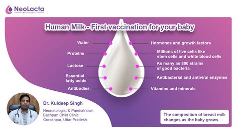 Human Milk Products For Premature Babies Neolacta