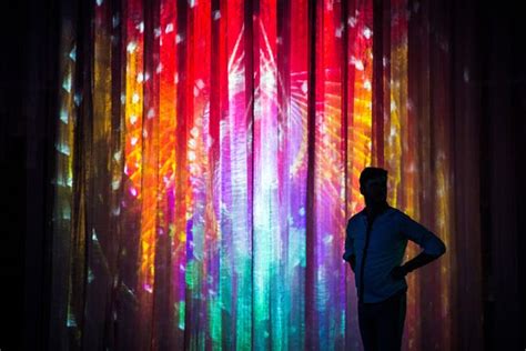 10 Best Immersive Art Experiences In The Us According To Readers