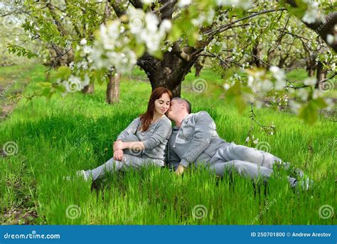 A Guy Kisses A Girl Under A Flowering Tree Stock Photo Image Of