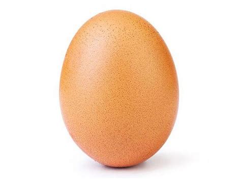 I Found The World Famous Egg Pic Regg