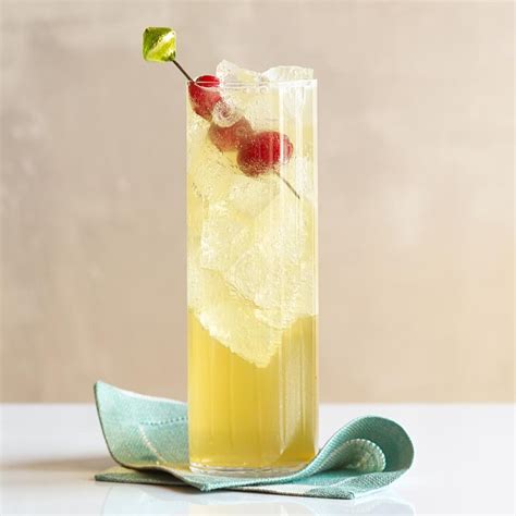 Top with 1/2 cup chilled champagne. The Ghost of Christmas Sparkling-Wine Cocktail Recipe ...