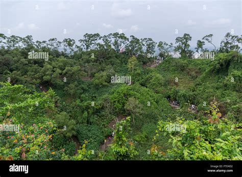 Fengluling Volcano Crater Covered By Tropical Rainforest At The