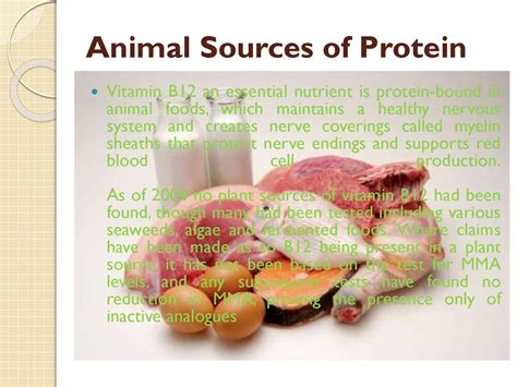 Amino Acids, Proteins, and Enzymes - презентация онлайн