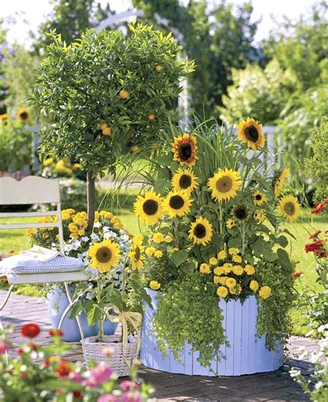 Sunflower Planter Porch Plants Garden Inspiration