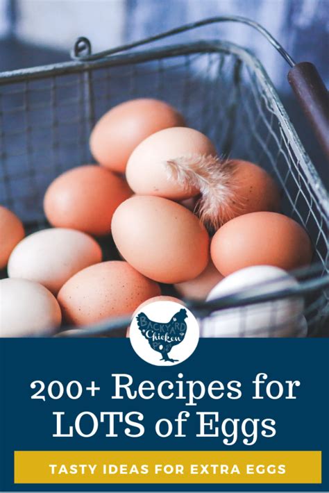 Whether you're looking for a light end to your meal or something sweet, rich, and decadent, there are plenty of dessert recipes that don't call for eggs. Cakes Using Lots Of Eggs / 10 Desserts to Use Up Leftover Egg Yolks | Recipes using egg yolks ...