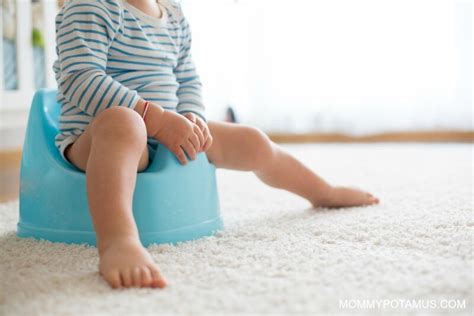 How To Potty Train In 3 Days