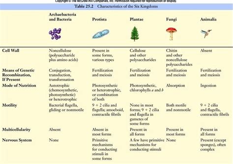 Characteristics Of The 6 Kingdoms Taxonomy Prokaryotes Eubacteria