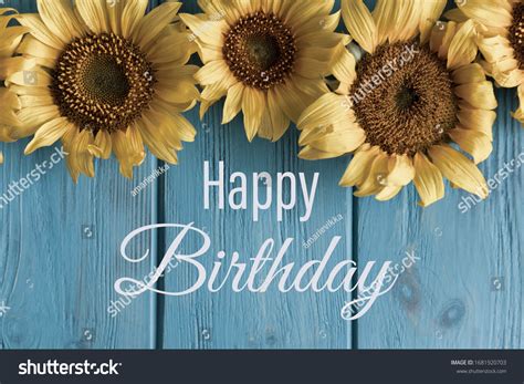 Happy Birthday Sunflower Photos And Images Shutterstock