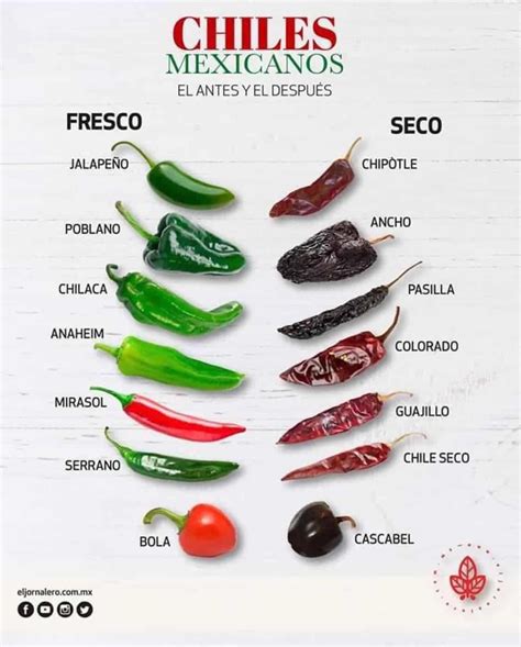 Different Types Of Mexican Chile Peppers Muy Bueno Cookbook Mexican