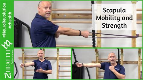 Scapula Strength And Mobility Youtube