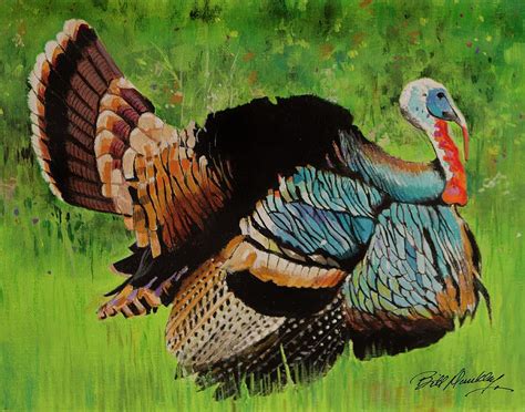 Wild Turkey Painting By Bill Dunkley Fine Art America