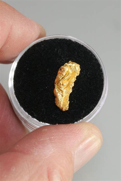 Thick And Elongated California Gold Nugget 184 00 Natural Gold