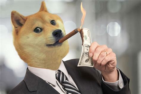 Dogecoin cryptocurrency appeared in 2013 as a joke. Dogecoin (DOGE): Price Analysis, Jan.01 - CryptoNewsZ
