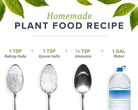 The plant's leaves act like solar panels, soaking up the sun's energy. Fixes for Nutrient Deficient Soil | Homemade plant food ...
