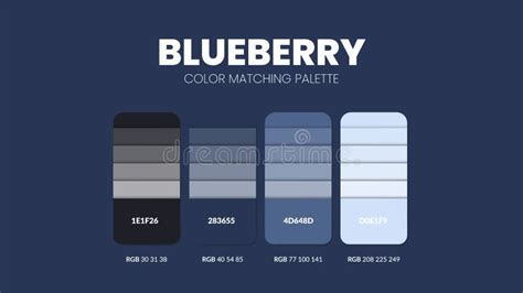 Blueberry Color Guide Book Cards Samples Color Theme Palettes Or Color
