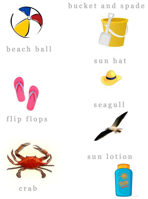 Illustrated Beach Vocabulary Learn Englishvocabularyenglish