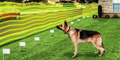 Fenced yards allow your dog to get more exercise. The Interesting Reality of Electric Pet Fences - Usage and ...