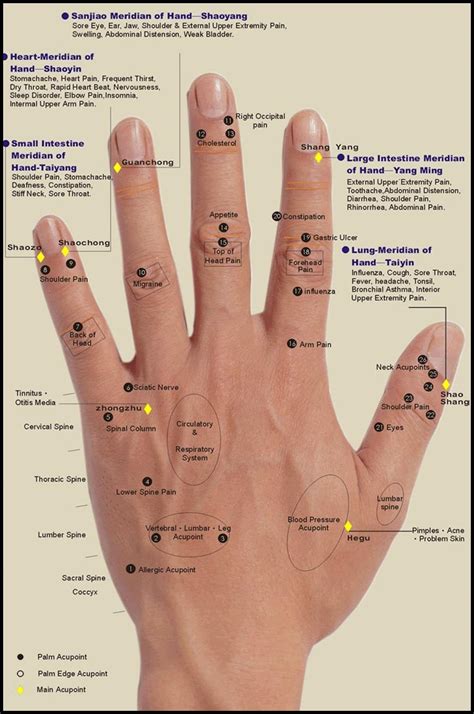 Right Hand Reflexology Chart