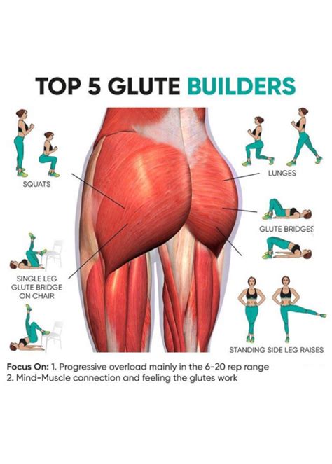 Glute Building Exercises Glutes Workout Workout Routine Exercise