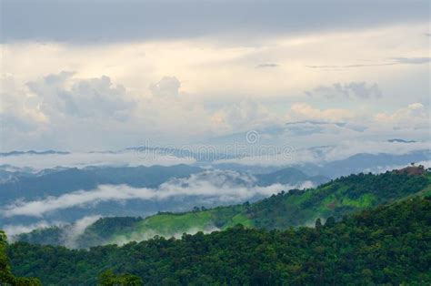 Landscape Green Mountains Forest With Rain Foggy At Doi Chang Chiang