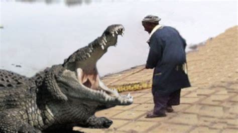 Crocodiles Eating People