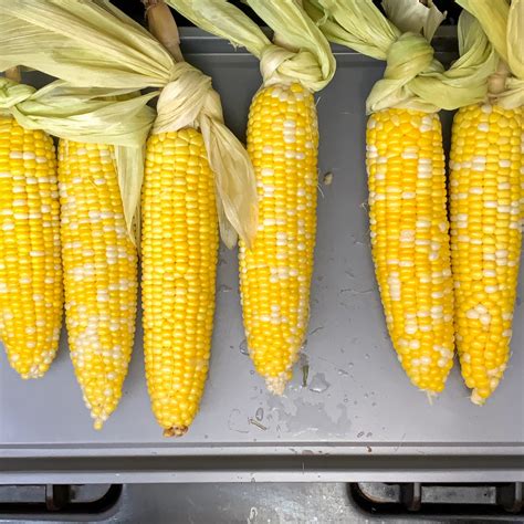 The Perfect Oven Roasted Corn On The Cob Recipe This Gal Cooks