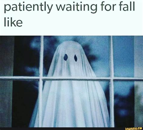 Spooky Memes Halloween Jokes Halloween Queen Spooky Scary Halloween